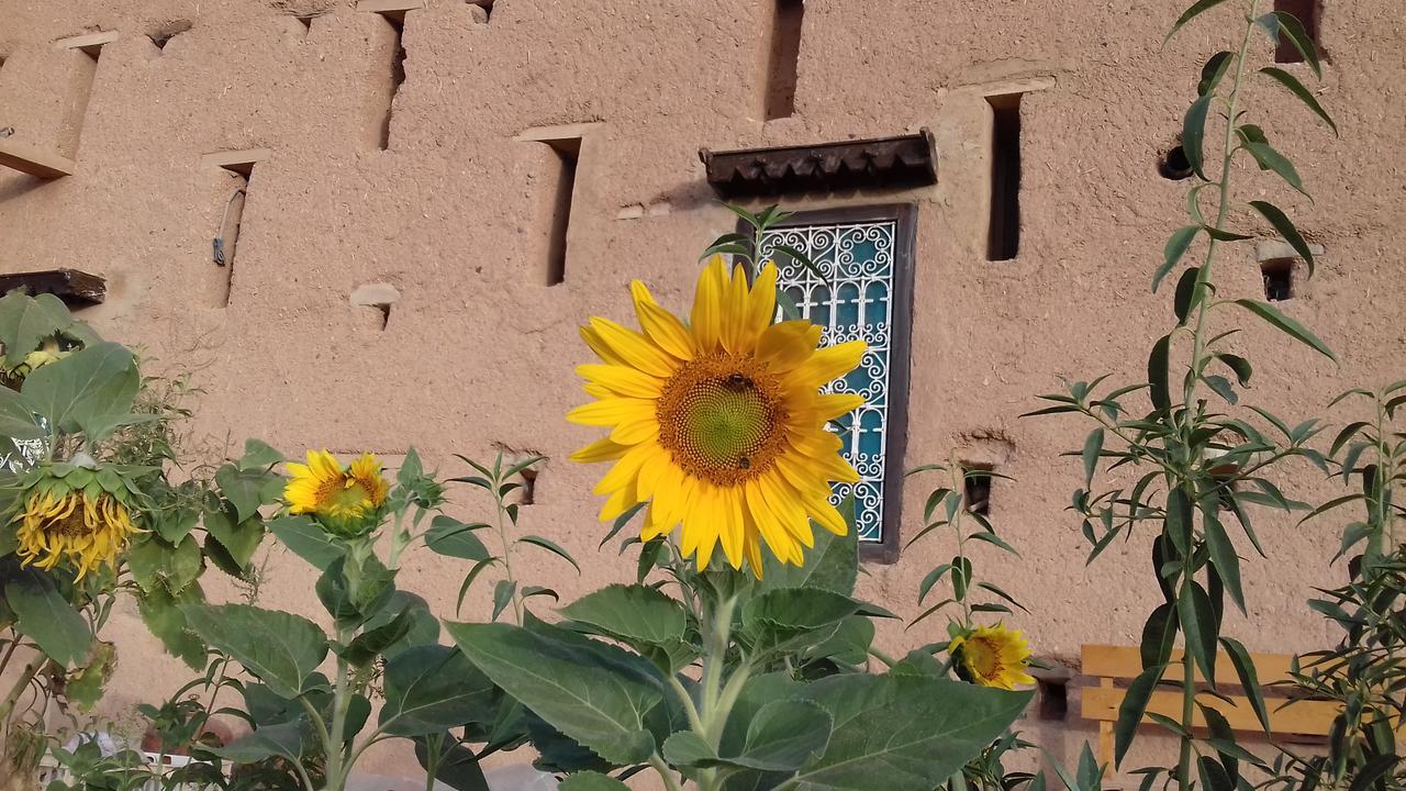 מלון מידלת Kasbah Izoran מראה חיצוני תמונה