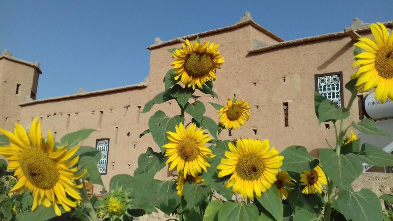 מלון מידלת Kasbah Izoran מראה חיצוני תמונה