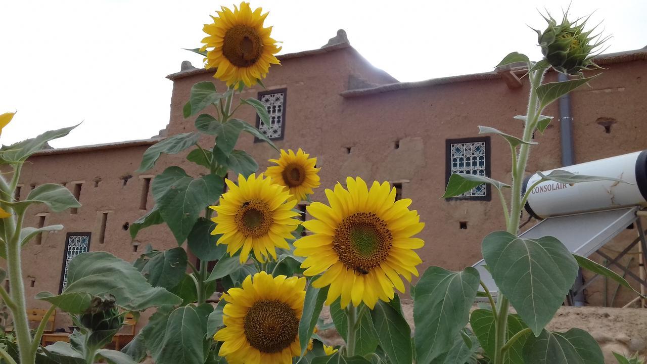 מלון מידלת Kasbah Izoran מראה חיצוני תמונה