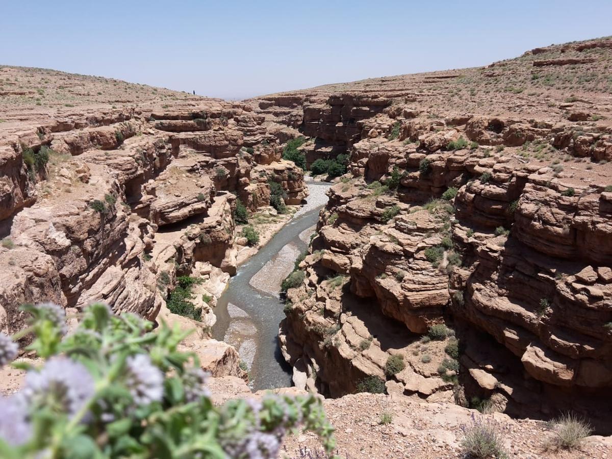 מלון מידלת Kasbah Izoran מראה חיצוני תמונה