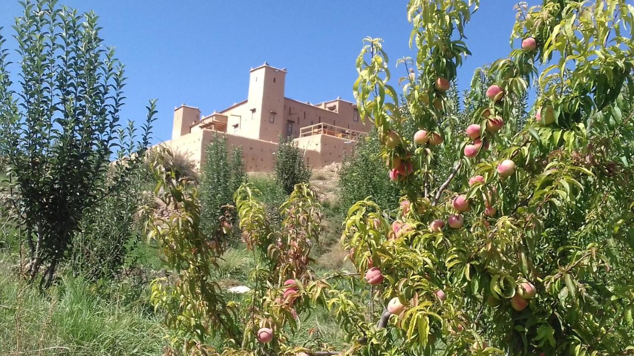 מלון מידלת Kasbah Izoran מראה חיצוני תמונה
